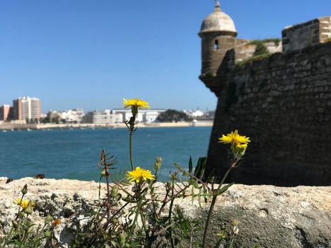 Castle of San Sebastian in Cadiz Spain