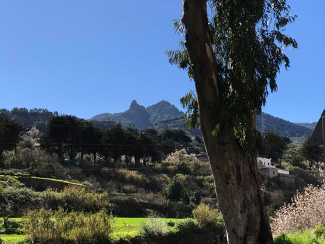 Mountain landscape in Gran Canaria