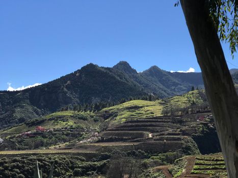 Farming terraces landscape in Gran Canaria