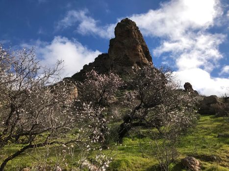 Peak from a mountain range at Riscos de Tirajana in Gran Canaria