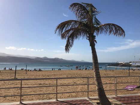 Playa de Las Canteras in Las Palmas Gran Canaria