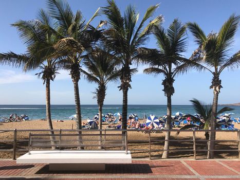 Bench at the boulevard of Playa de Las Canteras in Las Palmas Gran Canaria