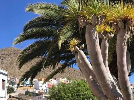 Houses in Galdar Gran Canaria Canary Islands Spain