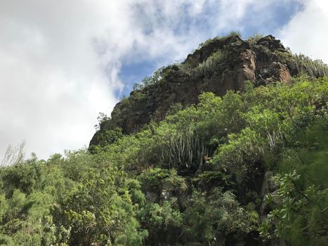 Jardin Canario botanic gardens in Las Palmas Gran Canaria
