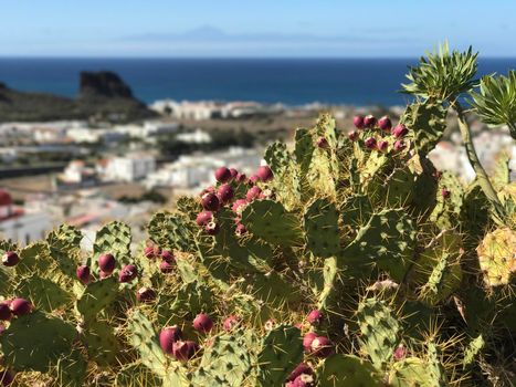 Aerial view over Agaete Gran Canaria Canary Islands Spain