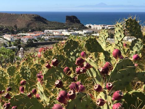 Aerial view over Agaete Gran Canaria Canary Islands Spain