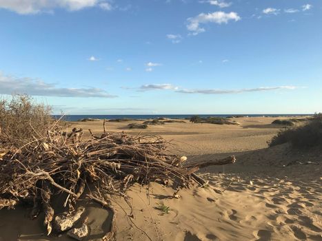 Sand dunes in Maspalomas Gran Canaria