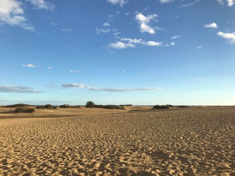 Sand dunes in Maspalomas Gran Canaria