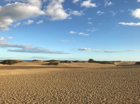 Sand dunes in Maspalomas Gran Canaria