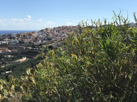 looking over Las Palmas old town Gran Canaria