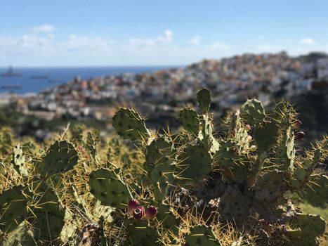 Looking over Las Palmas old town Gran Canaria