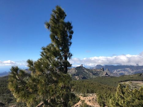 View from Pico de las Nieves the highest peak of the island of Gran Canaria