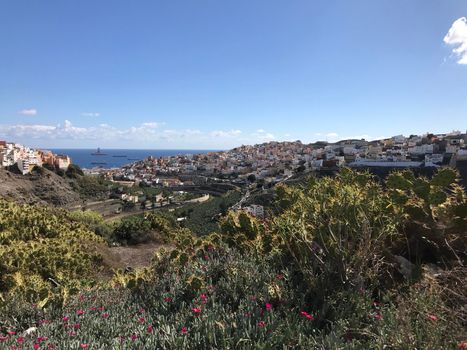 Looking over Las Palmas old town Gran Canaria