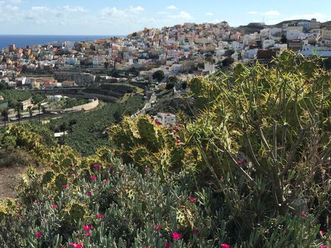 Looking over Las Palmas old town Gran Canaria