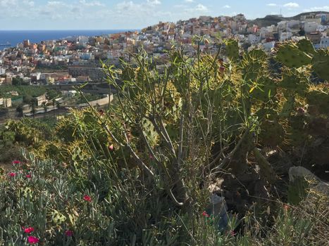 Looking over Las Palmas old town Gran Canaria