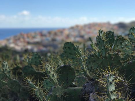 Looking over Las Palmas old town Gran Canaria