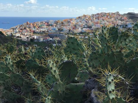 Looking over Las Palmas old town Gran Canaria