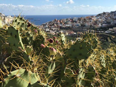 Looking over Las Palmas old town Gran Canaria