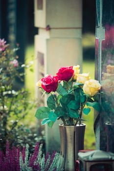 Close up of beautiful roses on a grave at a cemetery