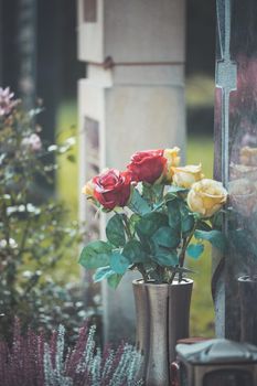 Close up of beautiful roses on a grave at a cemetery
