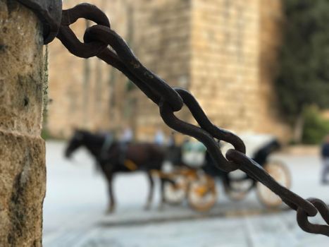 Horse and carriage behind a chain at the Seville Cathedral in Spain