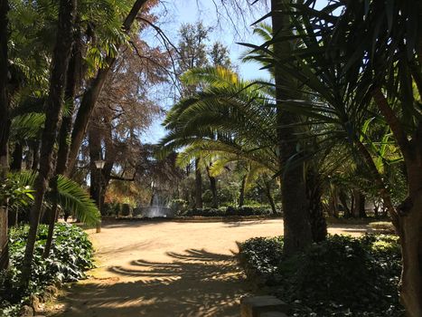 Maria Luisa Park in Seville Spain