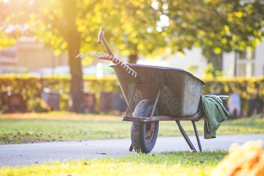 Close up of grey wheelbarrow in a park, gardening