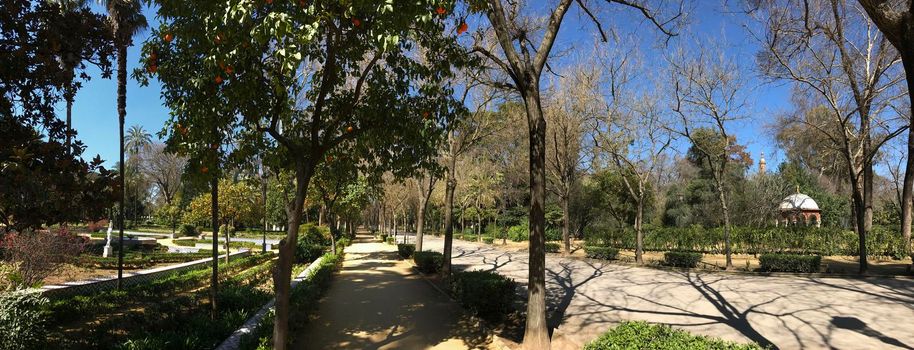 Panorama from the Maria Luisa Park in Seville, Spain