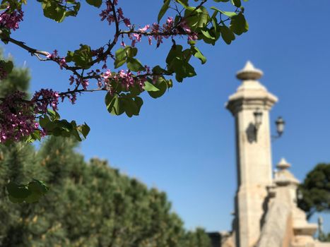 Puente del Mar bridge at the Gardens of Turia in Valencia Spain