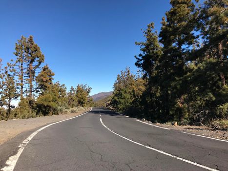 Road through Teide National Park at Tenerife Canary Islands