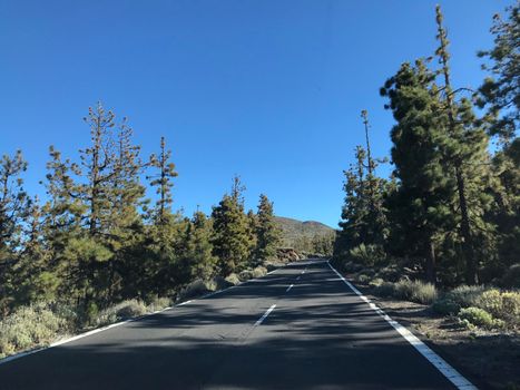 Road through Teide National Park at Tenerife Canary Islands