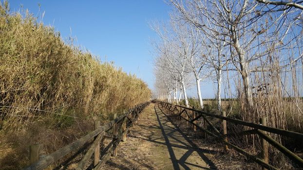 Path through the Parc Natural del Delta de l'Ebre Spain