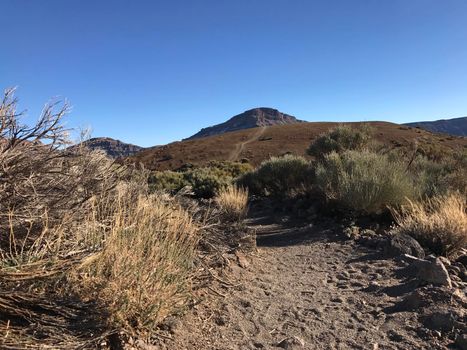 Hiking path around Mount Teide a volcano on Tenerife in the Canary Islands