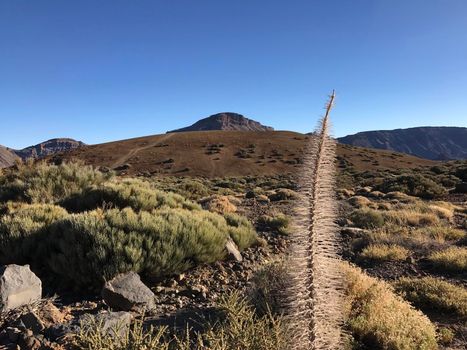 Landscape around Mount Teide a volcano on Tenerife in the Canary Islands