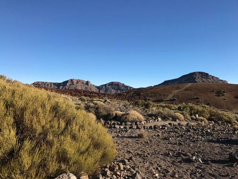 Landscape around Mount Teide a volcano on Tenerife in the Canary Islands