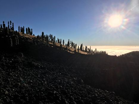Sunshine above the clouds with a fir landscape at Teide National Park in Tenerife the Canary Islands