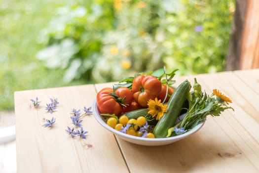 Fresh colorful vegetables in a bowl, raised in the own garden. Tomatoes, zucchini, flowers and herbs.