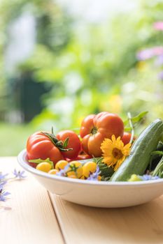 Fresh colorful vegetables in a bowl, raised in the own garden. Tomatoes, zucchini, flowers and herbs.