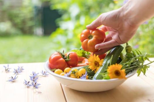 Fresh colorful vegetables in a bowl, raised in the own garden. Tomatoes, zucchini, flowers and herbs.