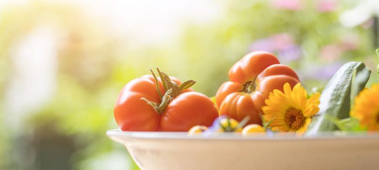 Fresh colorful vegetables in a bowl, raised in the own garden. Tomatoes, zucchini, flowers and herbs.