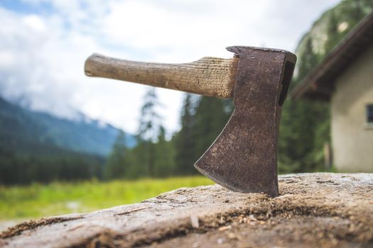 Close up of old axe attached to a tree trunk, countryside