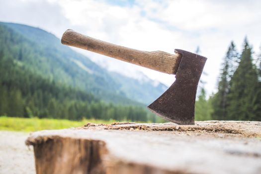 Close up of old axe attached to a tree trunk, countryside