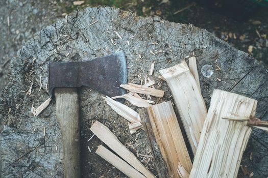 Close up of old axe attached to a tree trunk, countryside