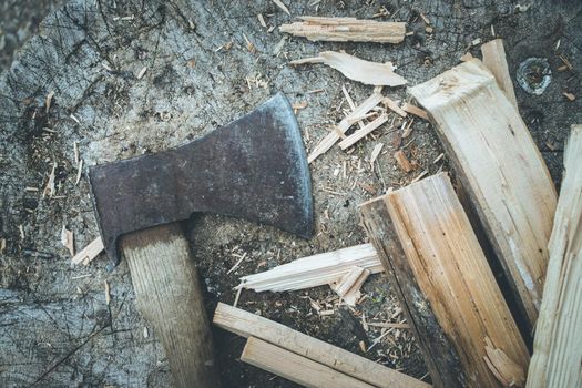 Close up of old axe attached to a tree trunk, countryside
