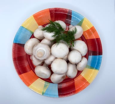 Fresh mushrooms champignons with a sprig of dill on a colored plate.