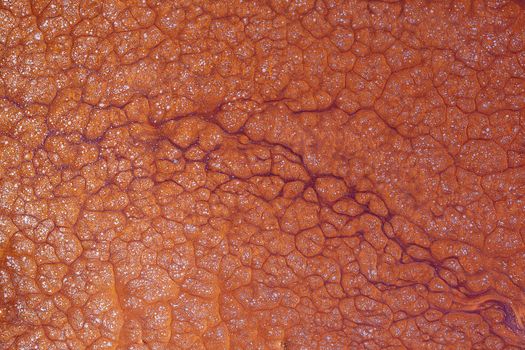 Abstract background texture, brown, liquid acrylic with the addition of gold glitter.