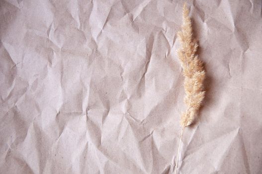 background of crumpled craft paper with dry flower in minimalism style