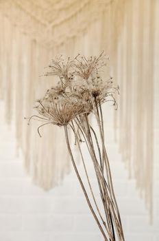 dry flowers braided with cobwebs on a brick wall background