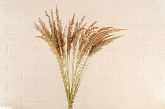 Bouquet of wild herbs on a background of a white brick wall. Bouquet of wild herbs on a background of a white brick wall. A minimal, stylish, trendy concept with a beautiful background with light neutral colors.