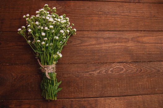 bouquet of chamomile flowers, which lies on a wooden table